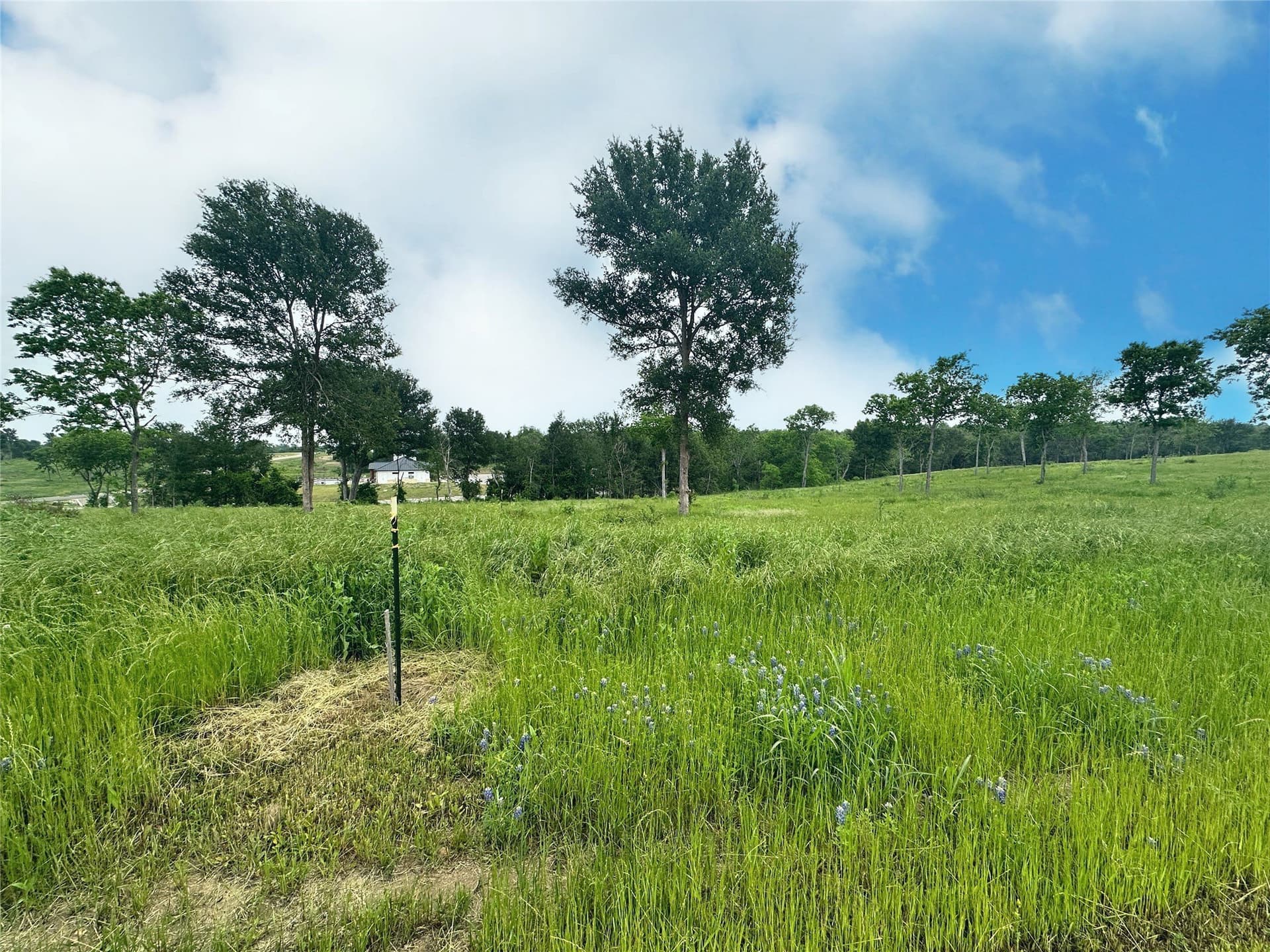 1.08 acres in Navarro County - photo 18