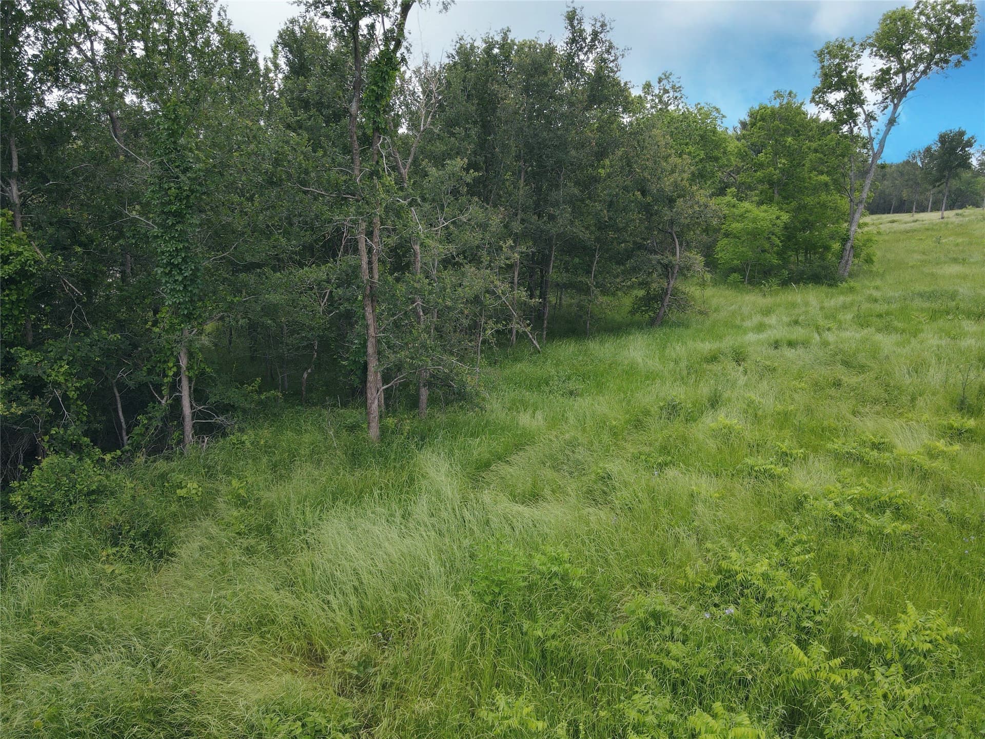 1.08 acres in Navarro County - photo 8