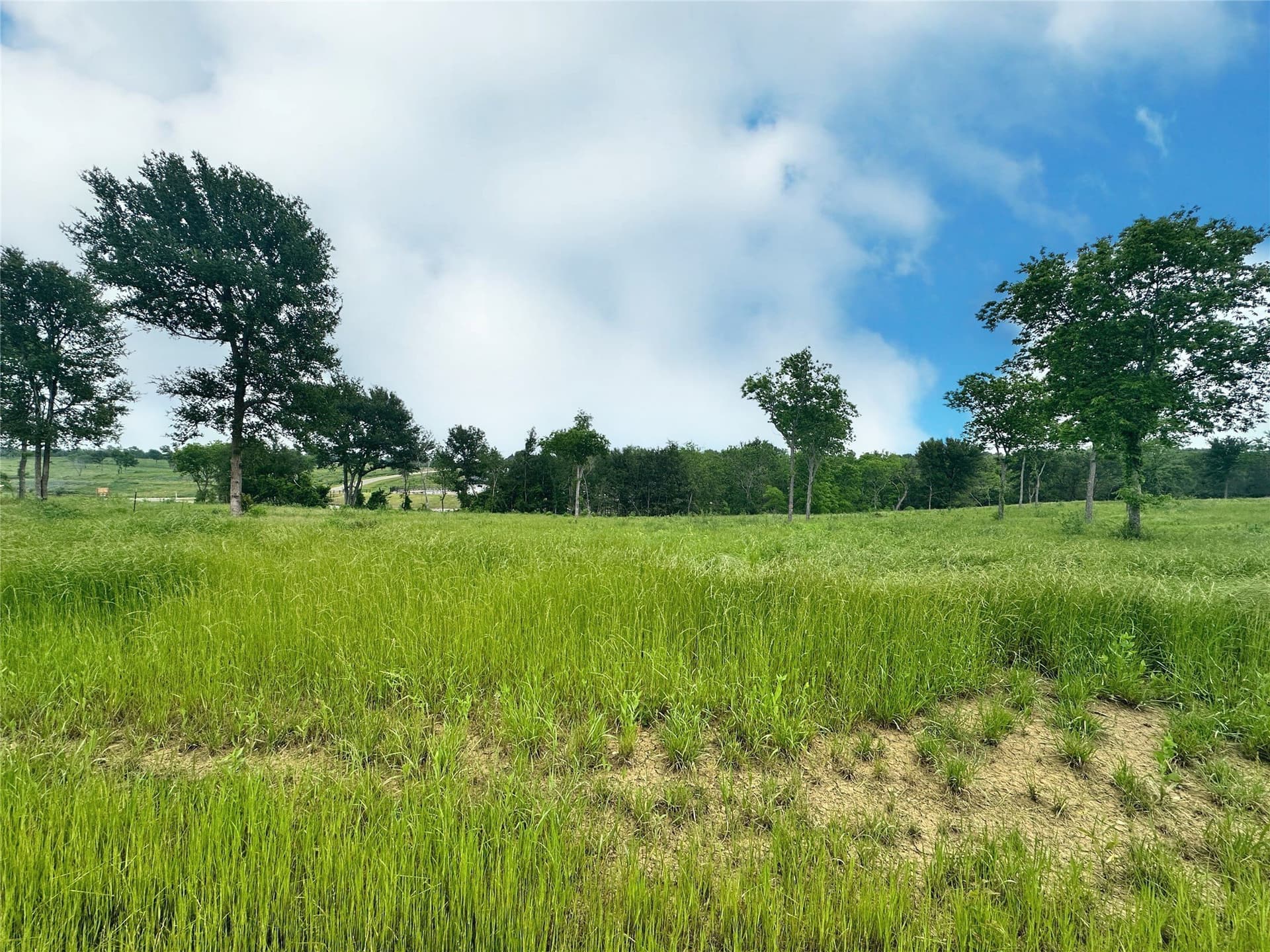 1.08 acres in Navarro County - photo 23