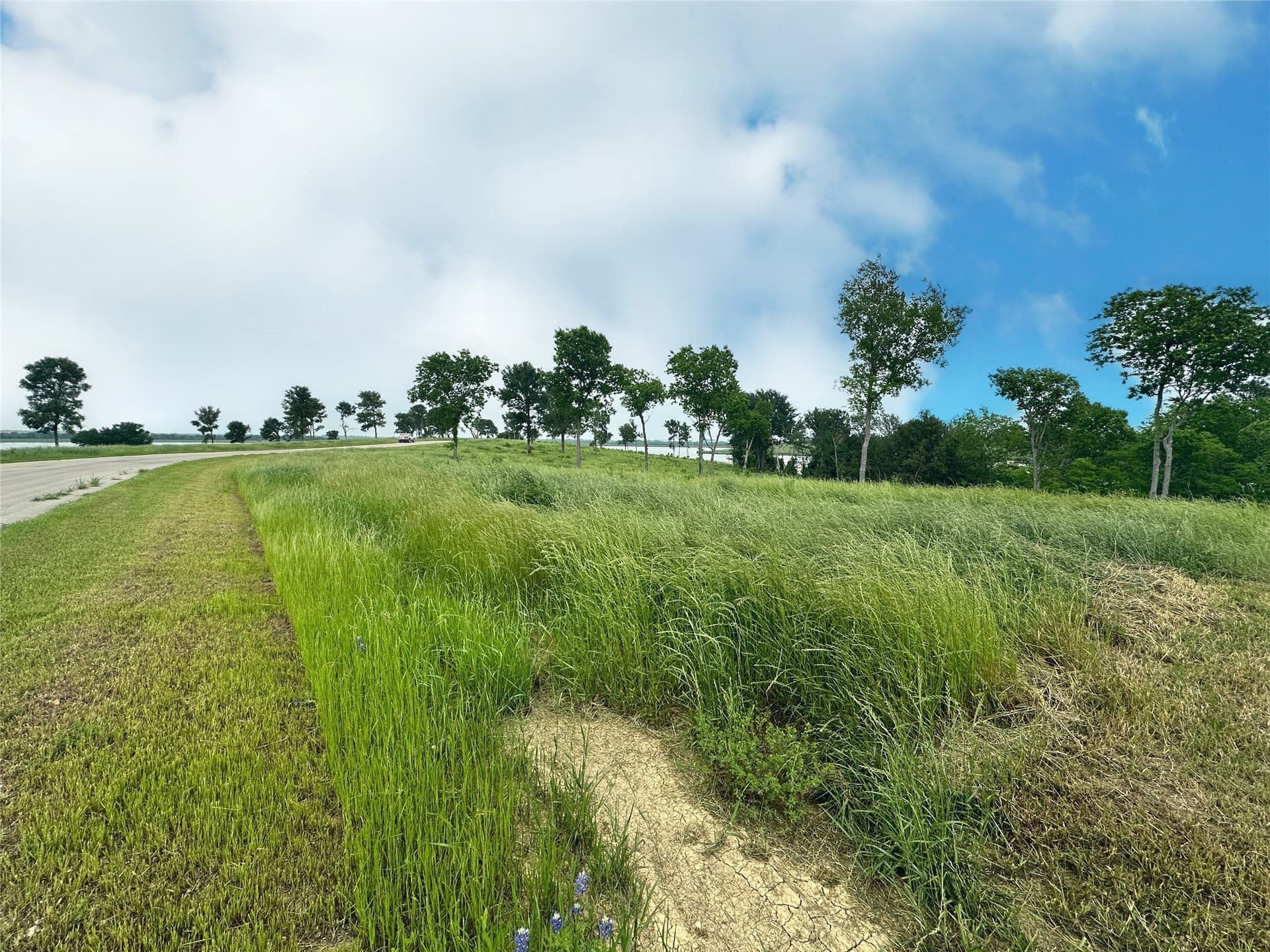 1.08 acres in Navarro County - photo 17