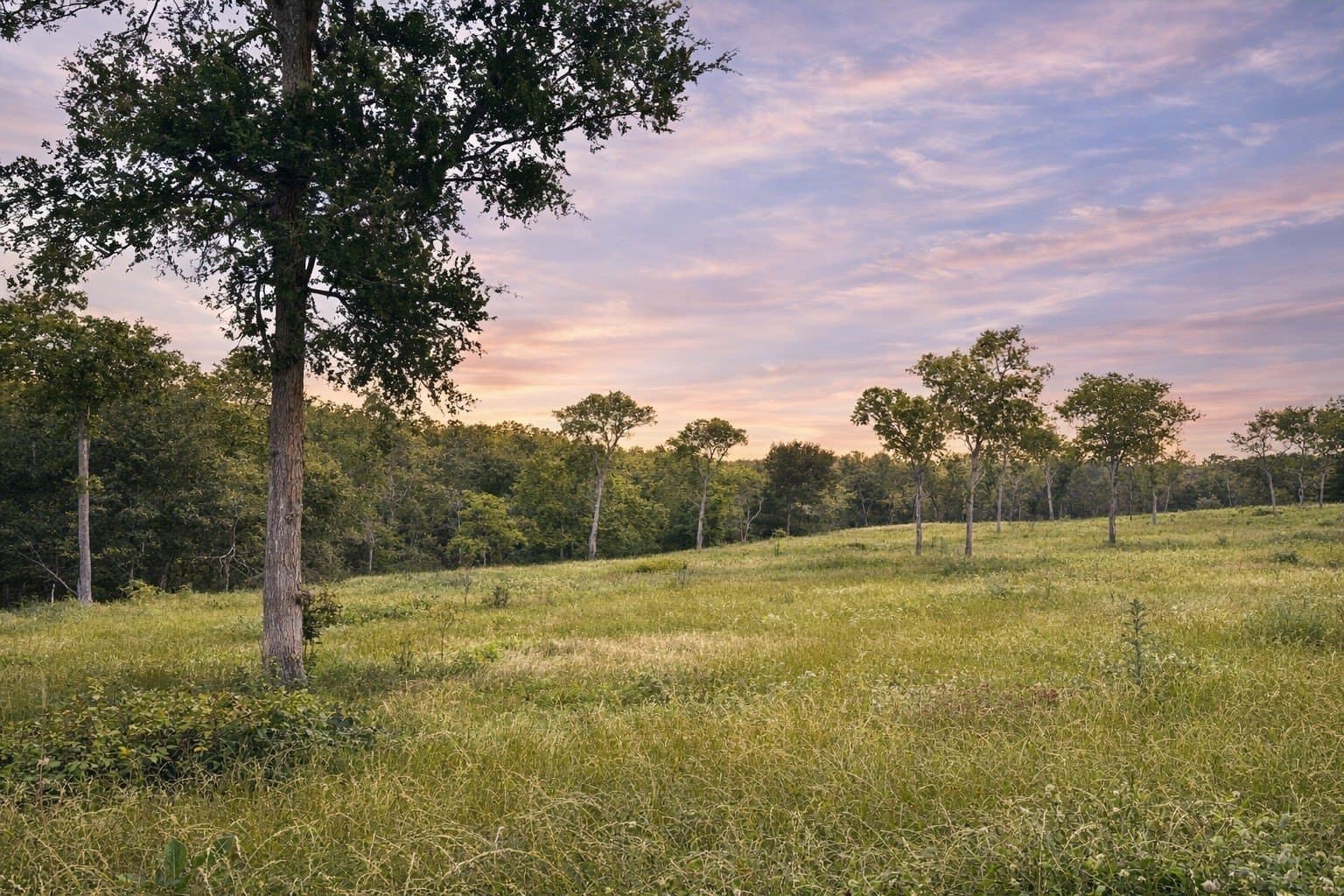 1.08 acres in Navarro County gallery image 4