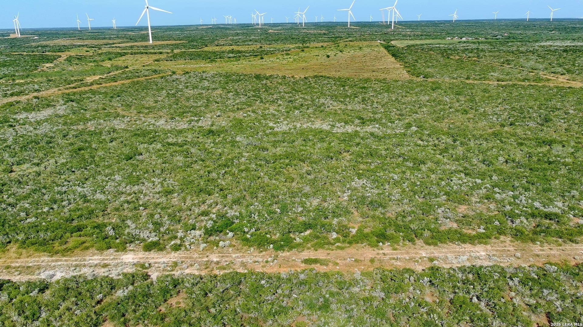 50 acres in Webb County gallery image 4
