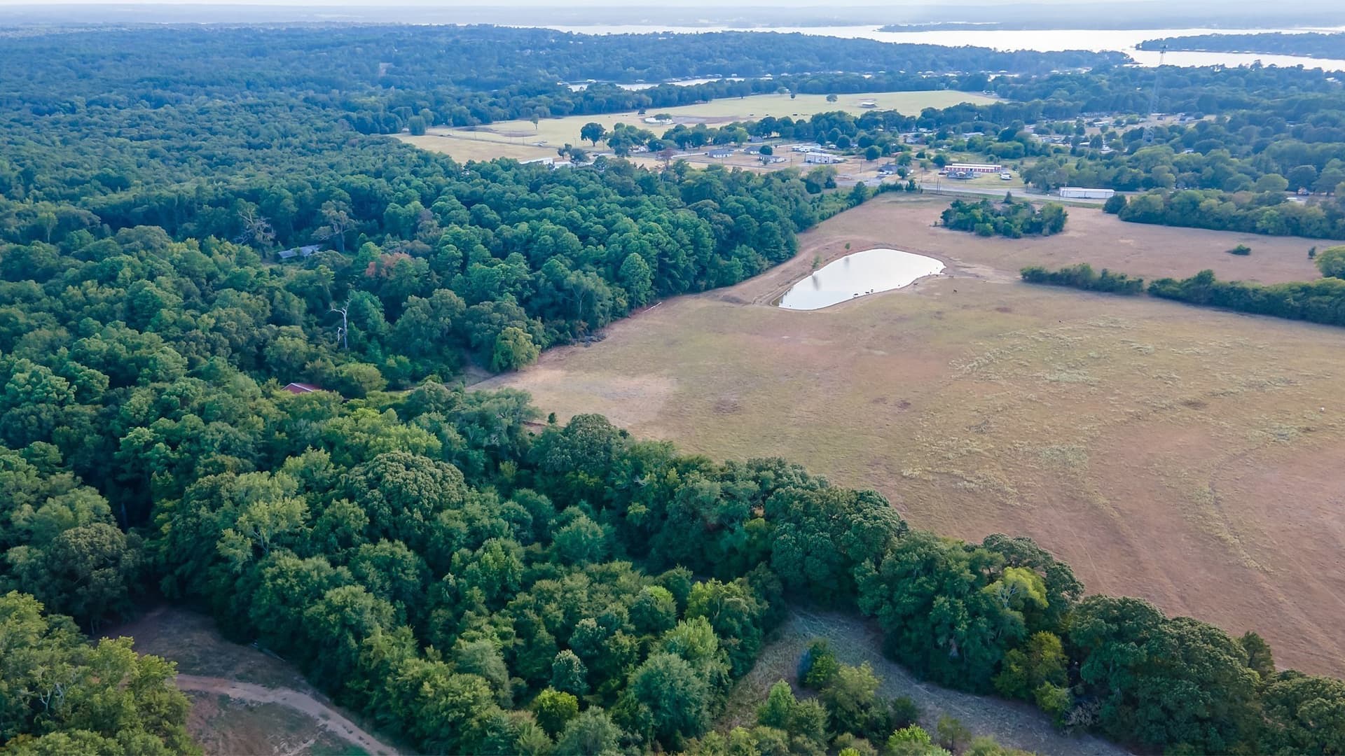 115 acres in Smith County gallery image 4
