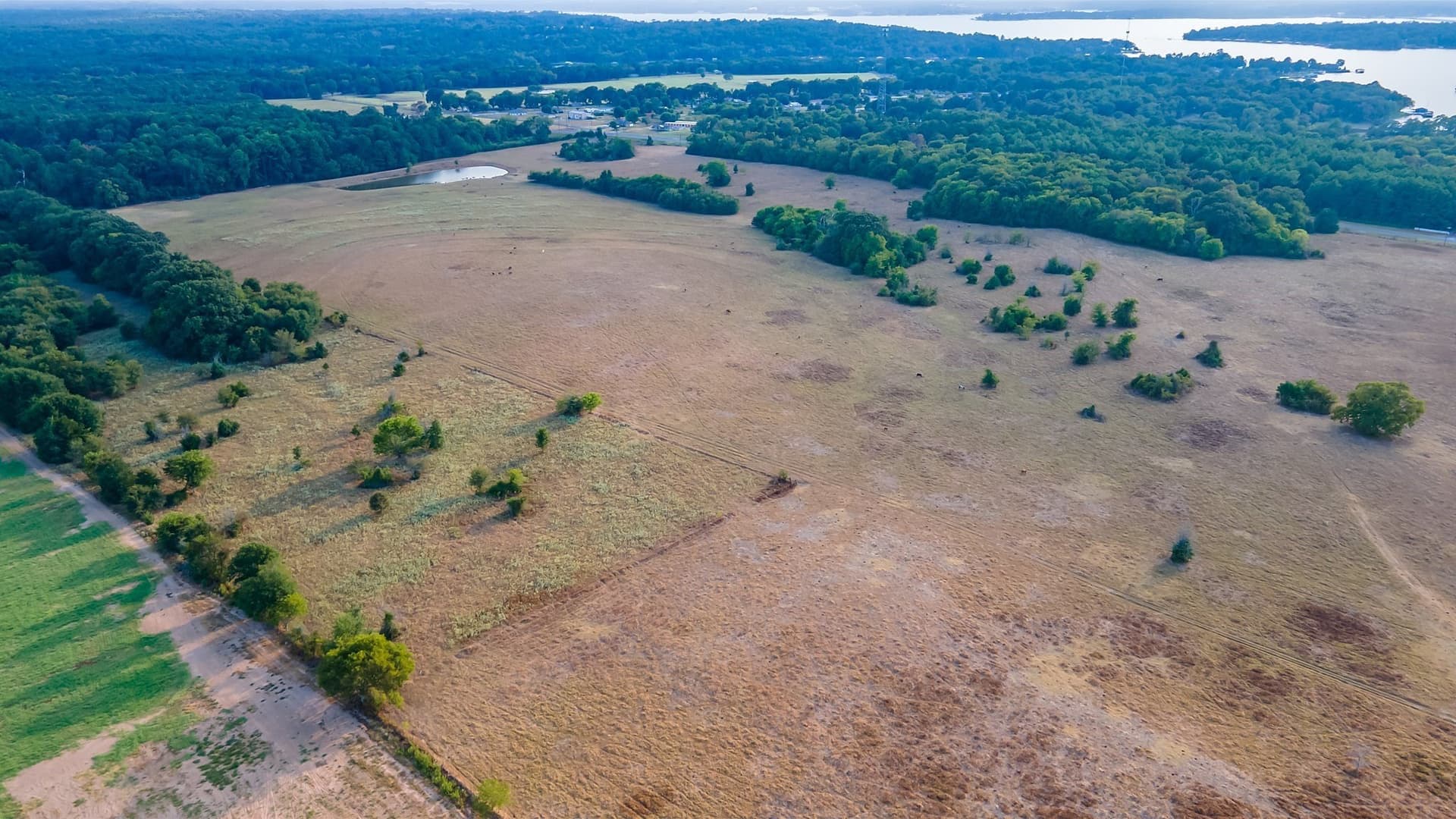 115 acres in Smith County gallery image 2