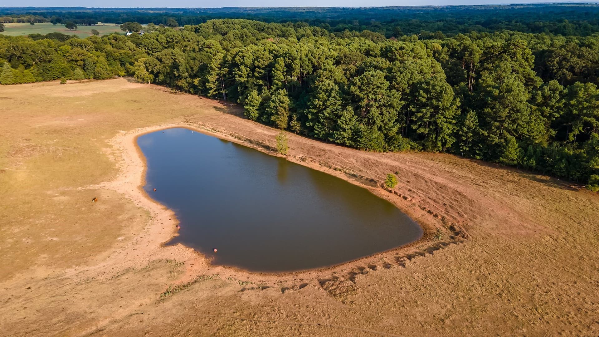 115 acres in Smith County - photo 6