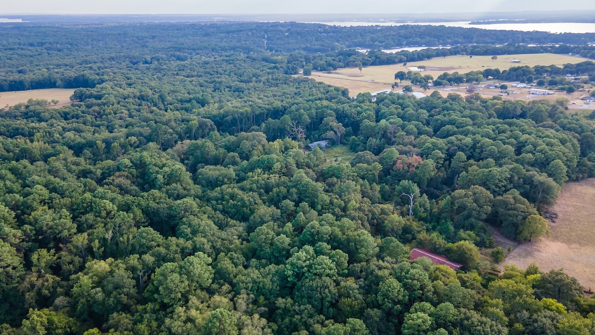 115 acres in Smith County featured view
