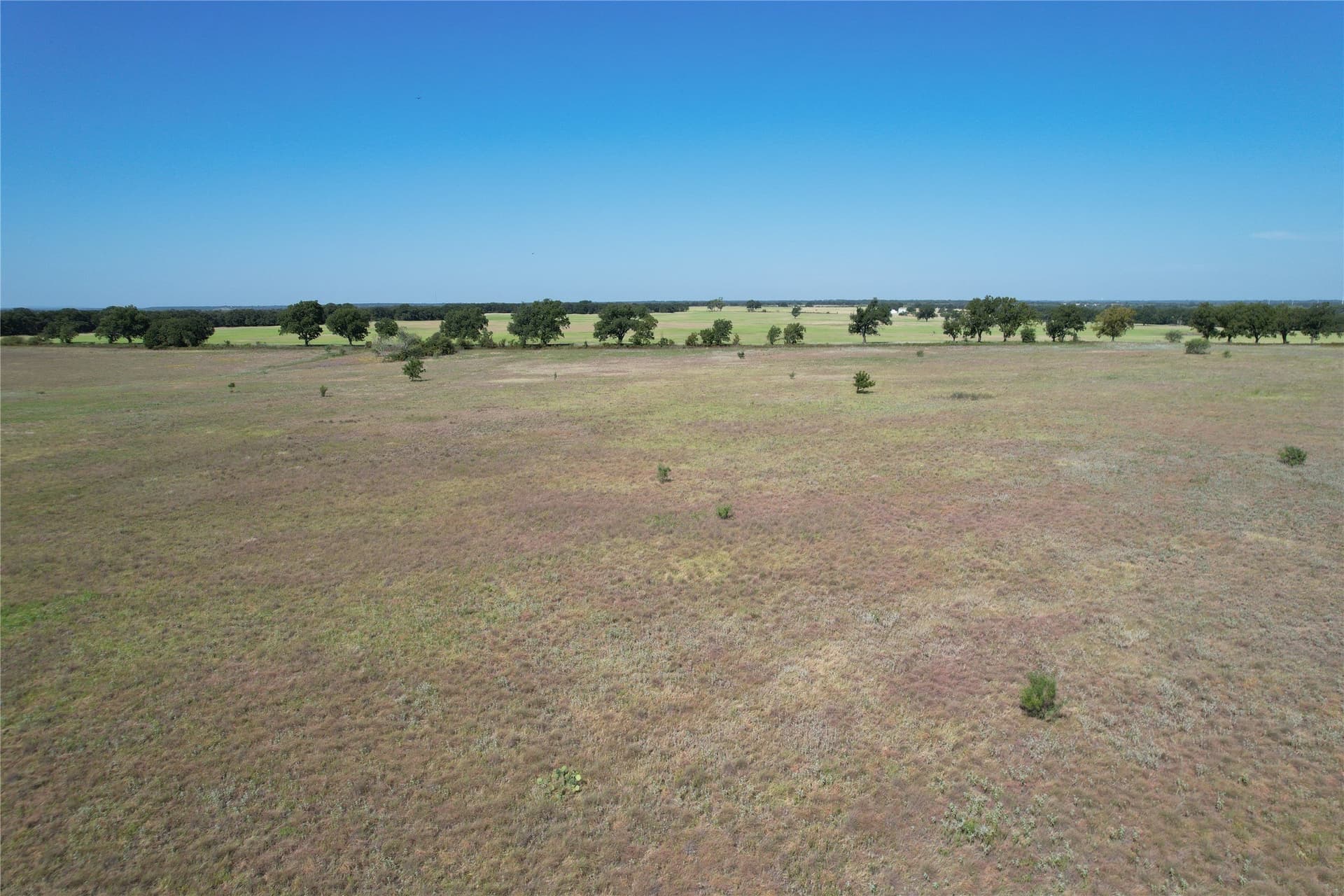 19.88 acres in Eastland County - photo 14