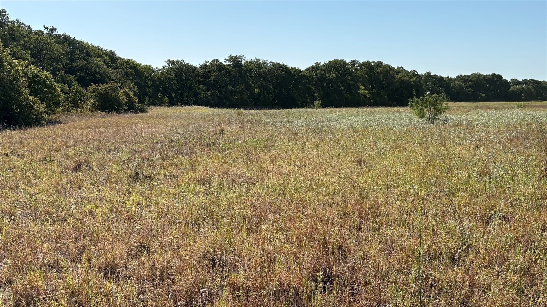 19.88 acres in Eastland County - photo 13