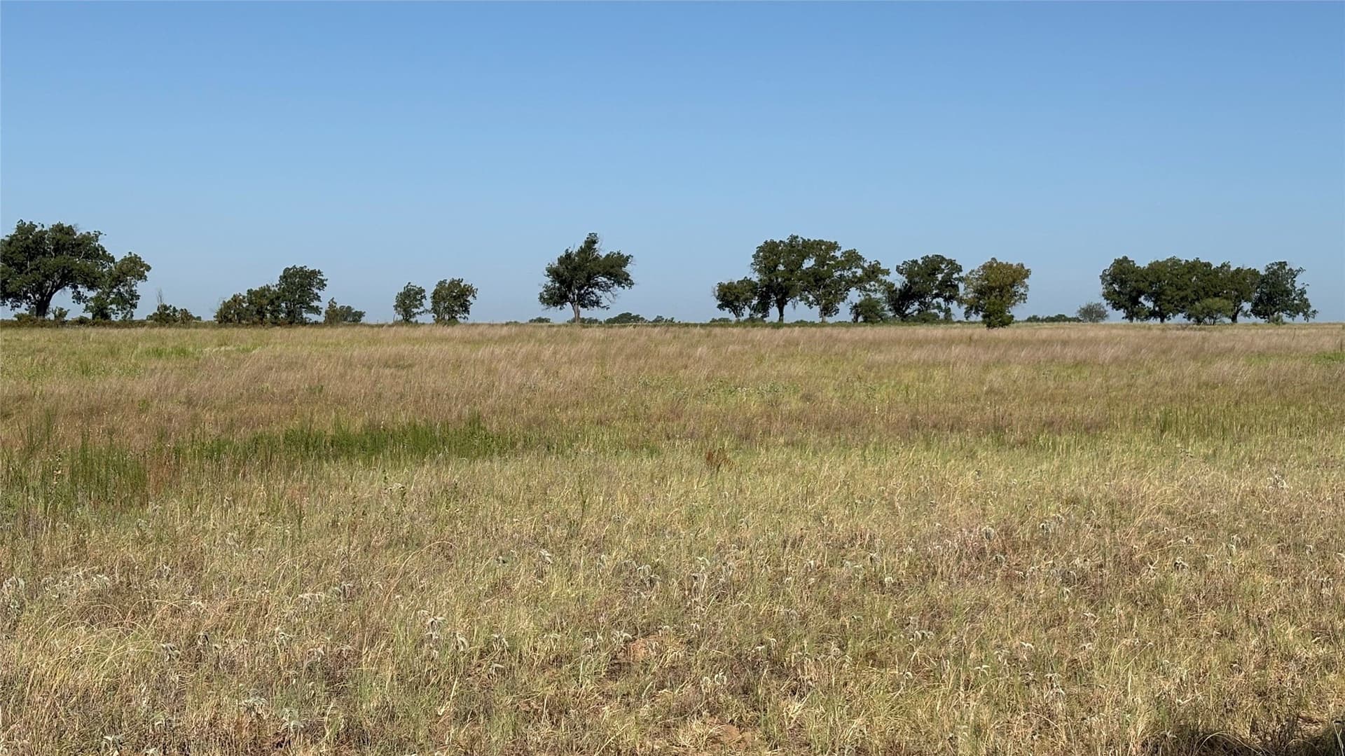 19.88 acres in Eastland County - photo 11