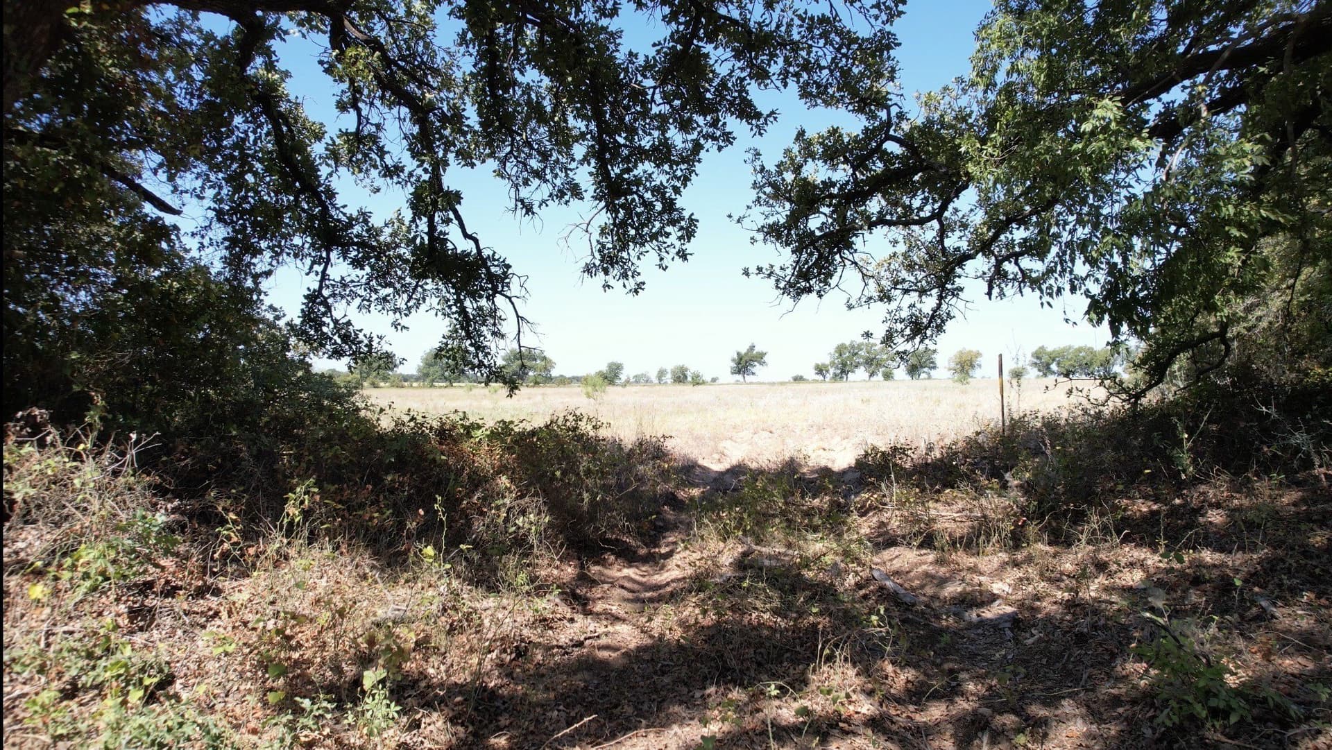 19.88 acres in Eastland County - photo 4