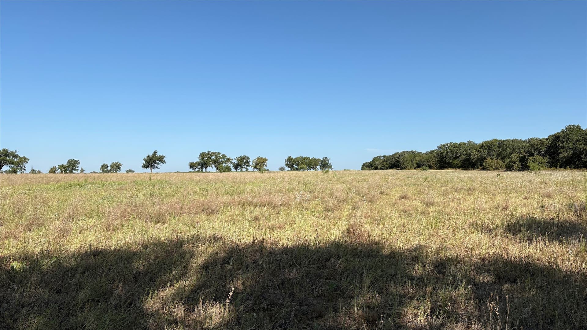 19.88 acres in Eastland County - photo 10