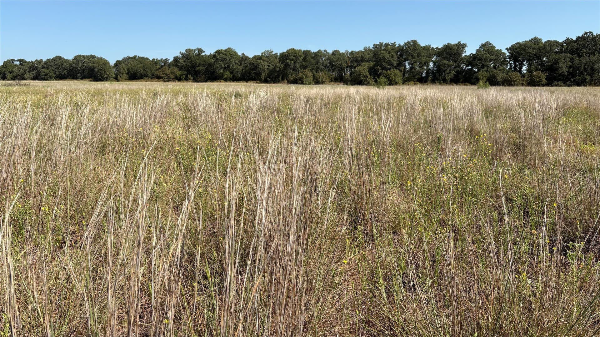 19.88 acres in Eastland County - photo 8