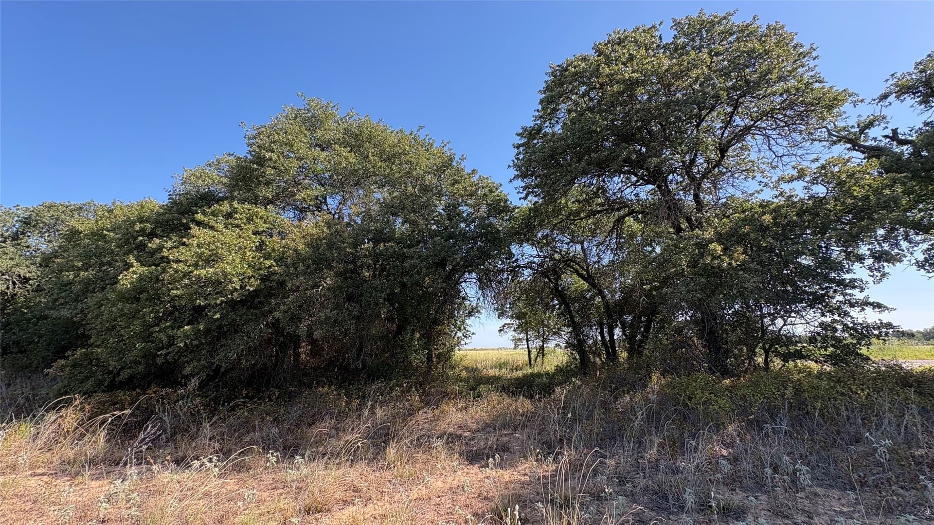 19.88 acres in Eastland County - photo 12
