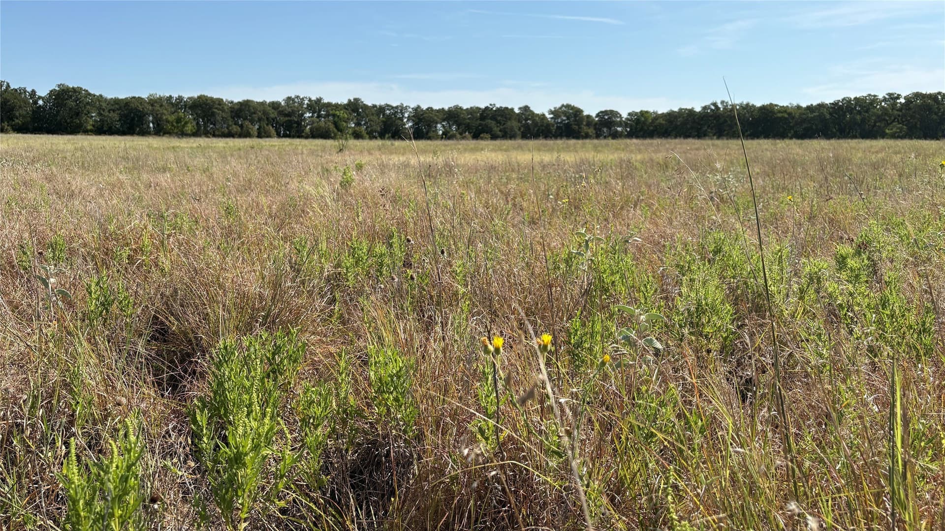 19.88 acres in Eastland County - photo 9