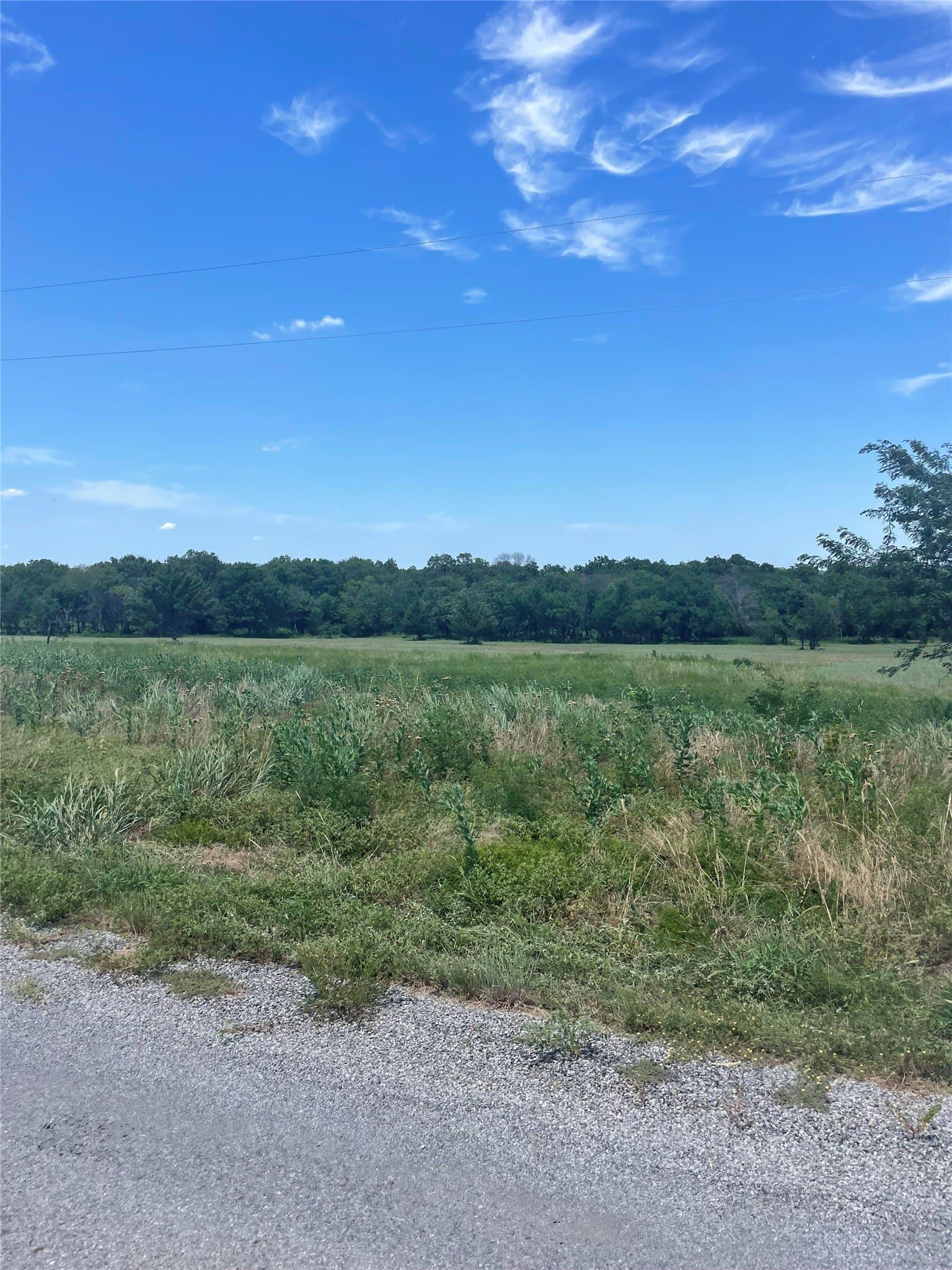 6 acres in Cooke County - photo 8