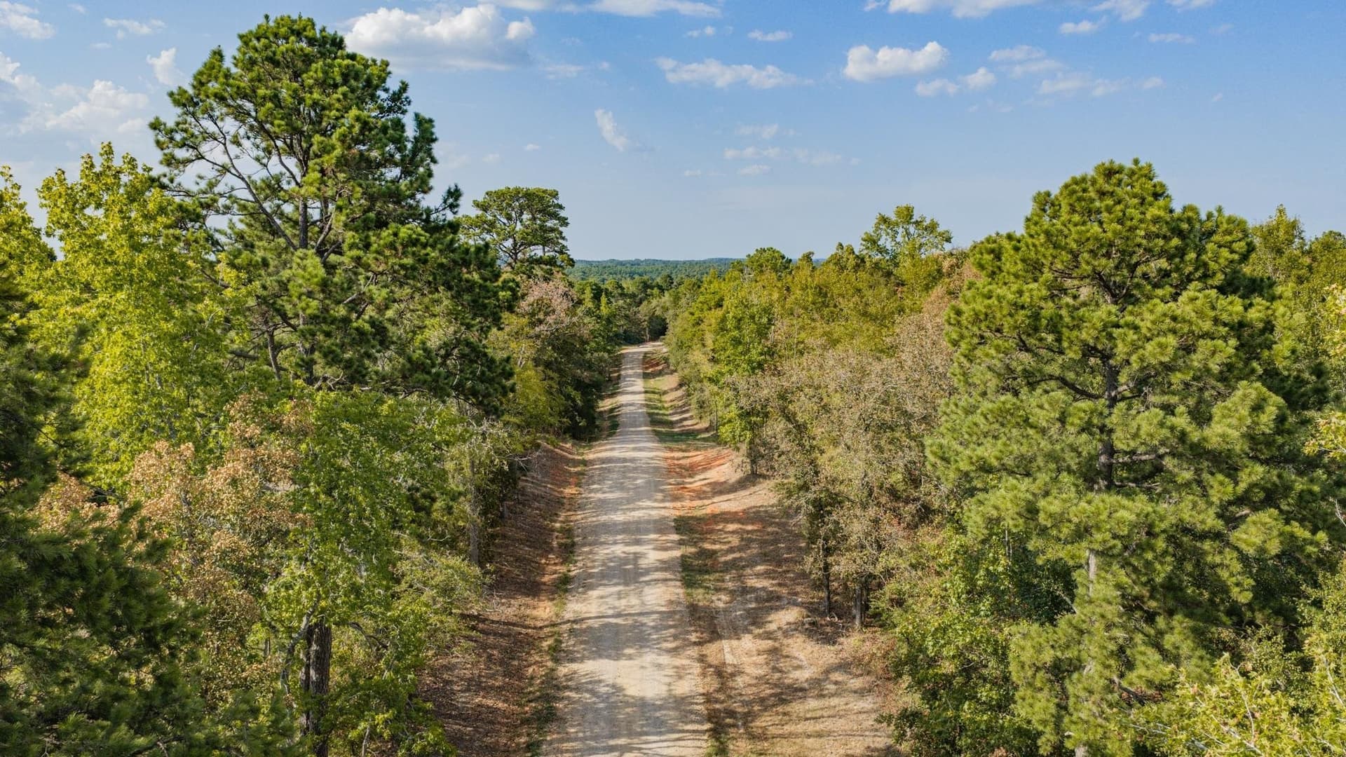 37.48 acres in Upshur County - photo 44