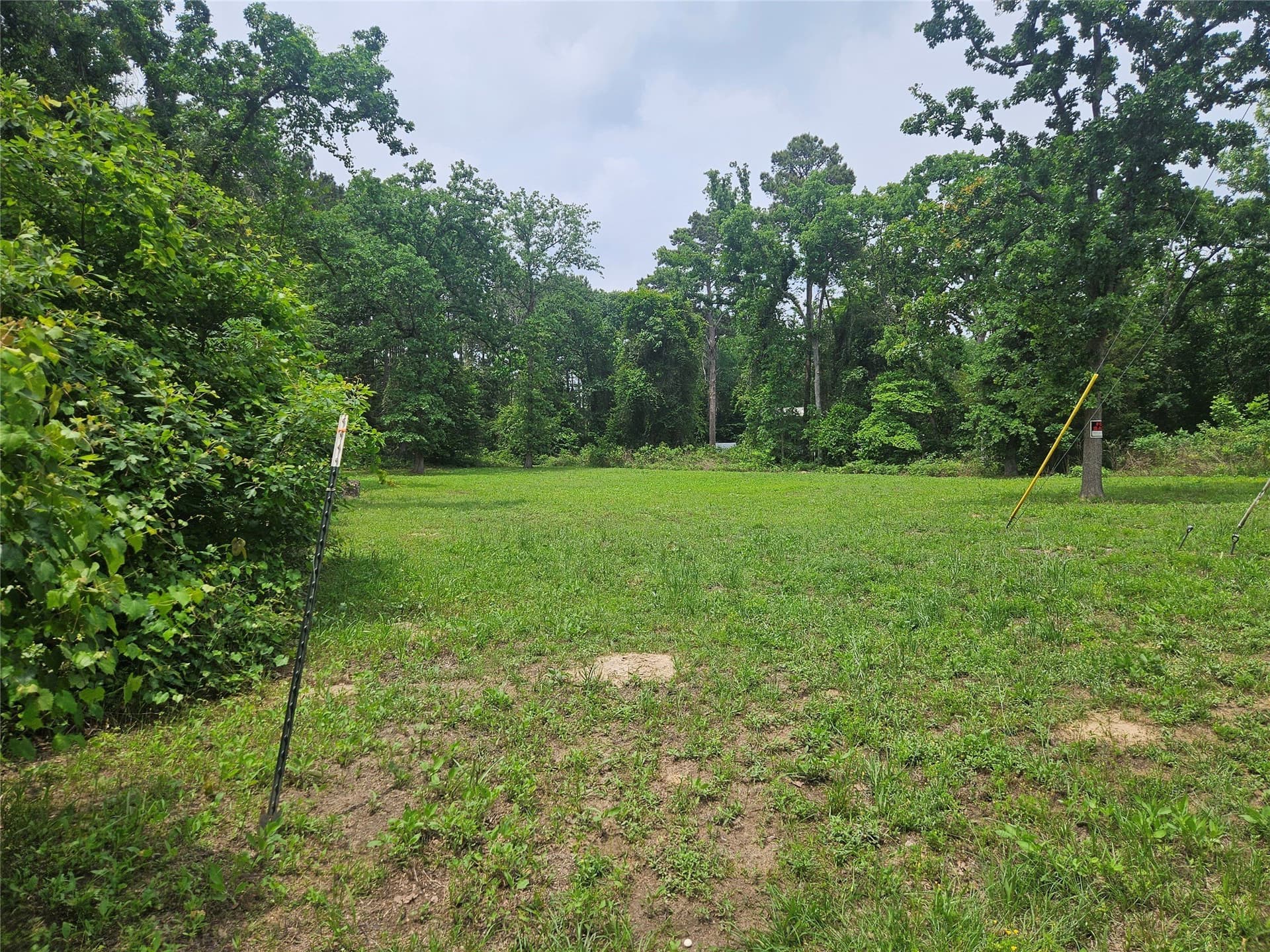 0.41 acres in Cherokee County gallery image 2