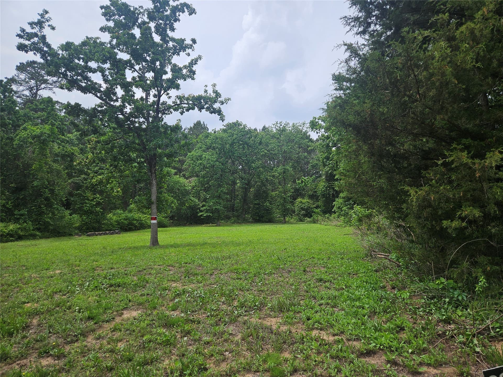 0.41 acres in Cherokee County gallery image 3