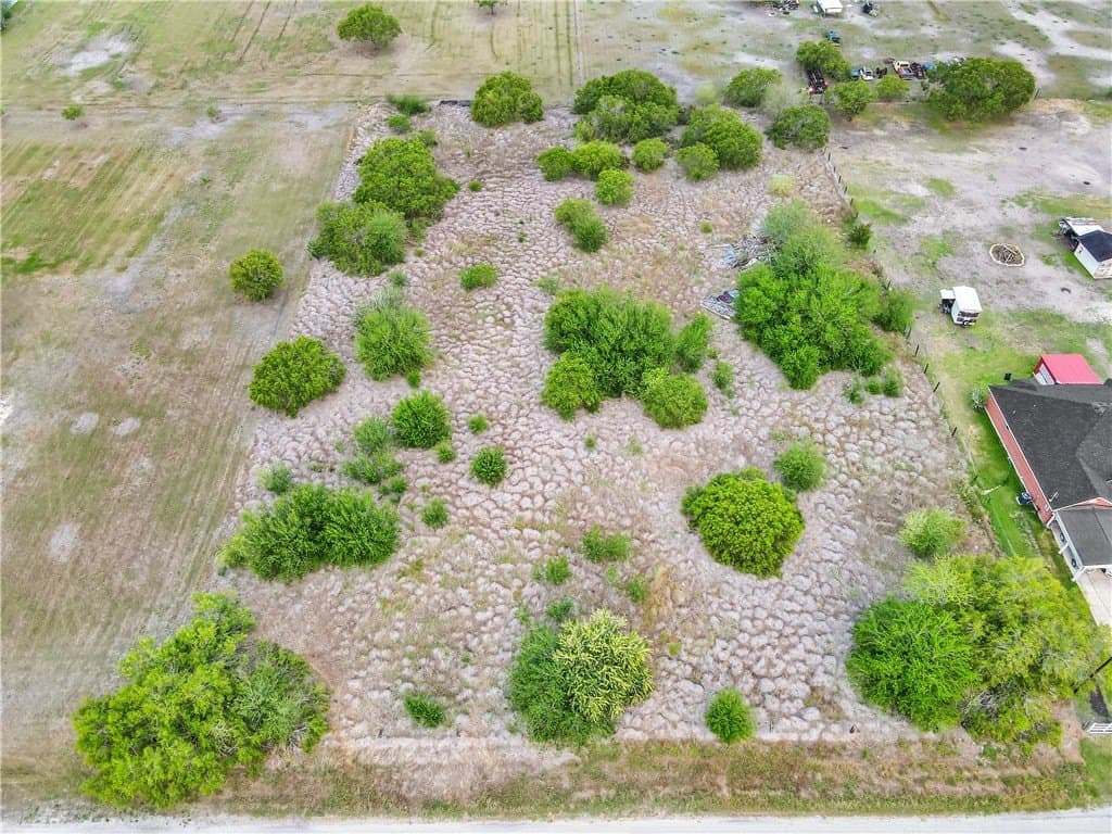 2 acres in Nueces County gallery image 4