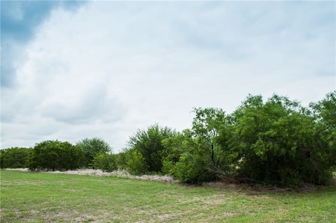 2 acres in Nueces County - photo 8
