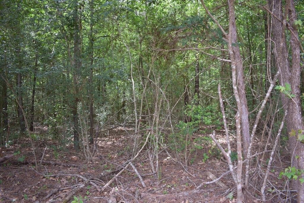 10.6 acres in Texas County featured view