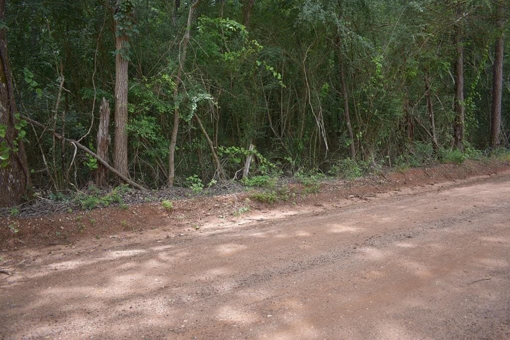 10.6 acres in Texas County gallery image 4