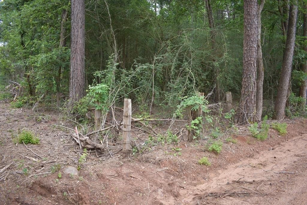 10.6 acres in Texas County gallery image 3