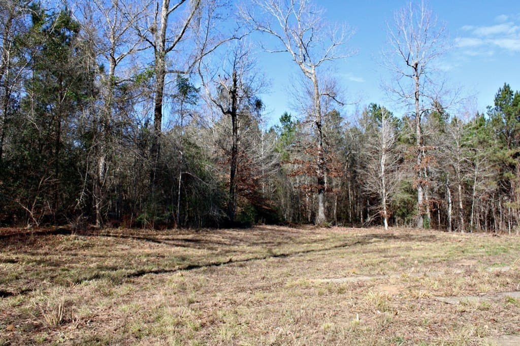 8.9 acres in Texas County featured view
