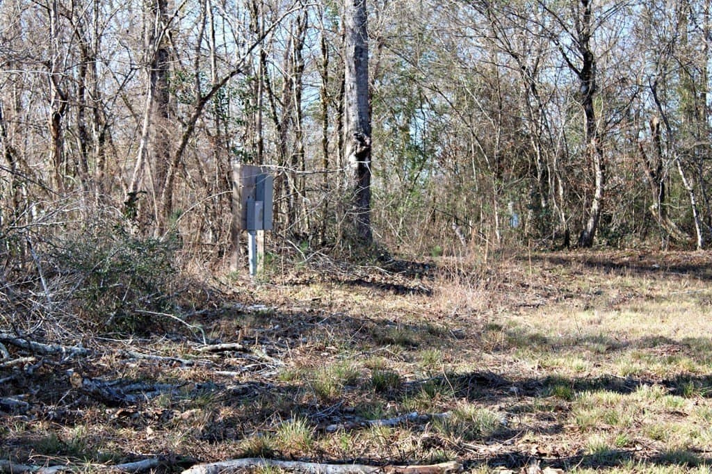 8.9 acres in Texas County gallery image 4