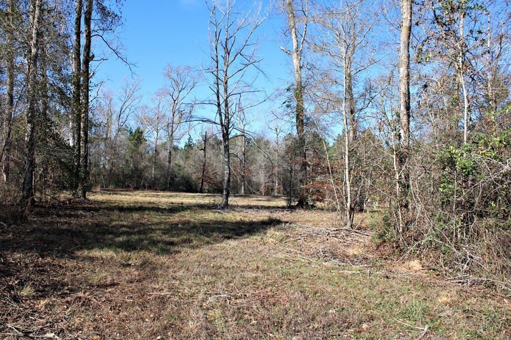 8.9 acres in Texas County gallery image 3