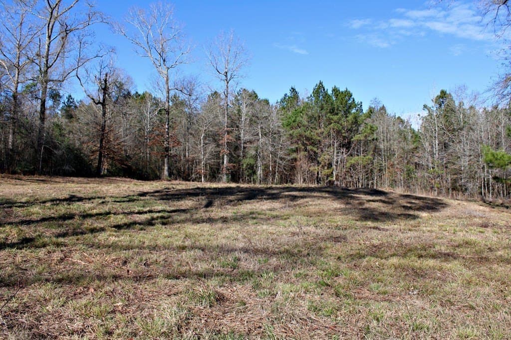 8.9 acres in Texas County gallery image 2