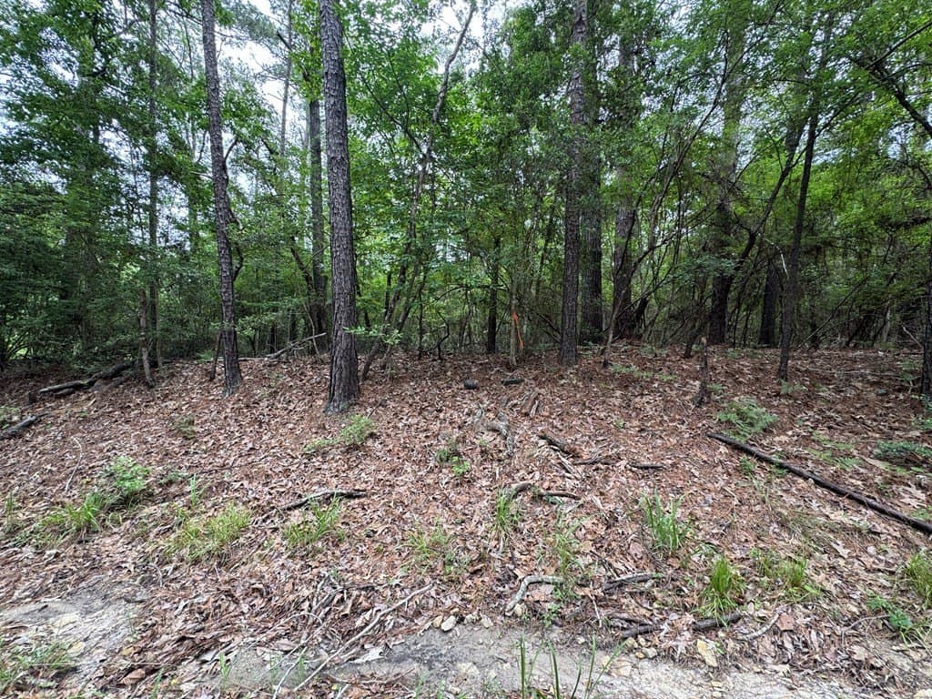 0.46 acres in Texas County - photo 10