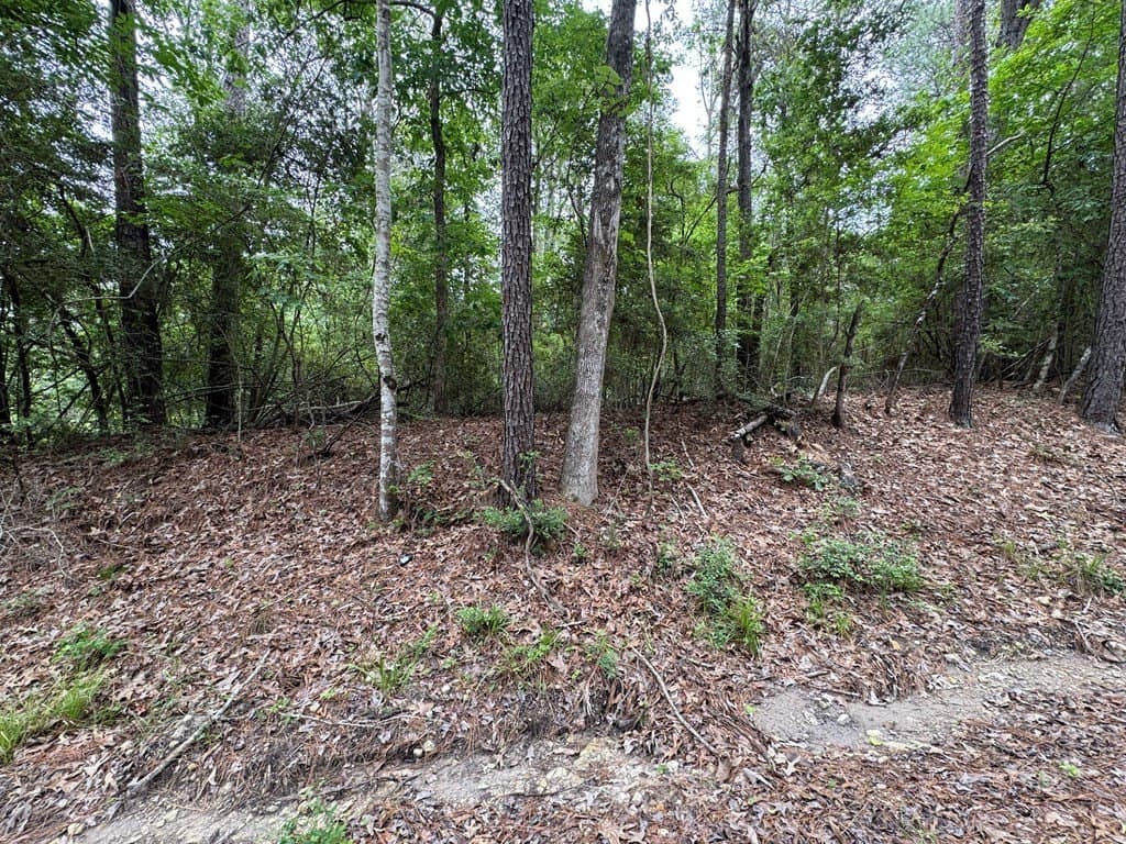 0.46 acres in Texas County - photo 9