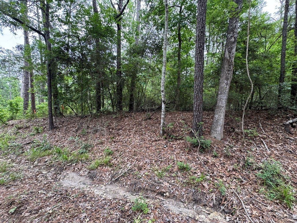0.46 acres in Texas County - photo 8