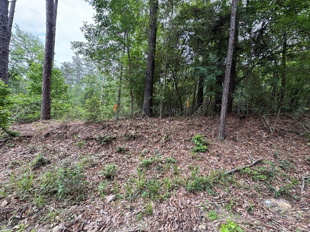 0.46 acres in Texas County - photo 7