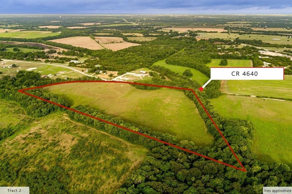 24.32 acres in Fannin County gallery image 2