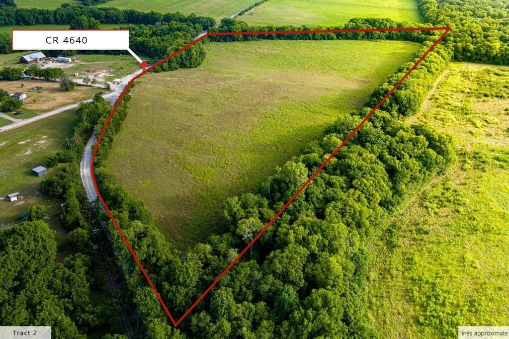 24.32 acres in Fannin County featured view