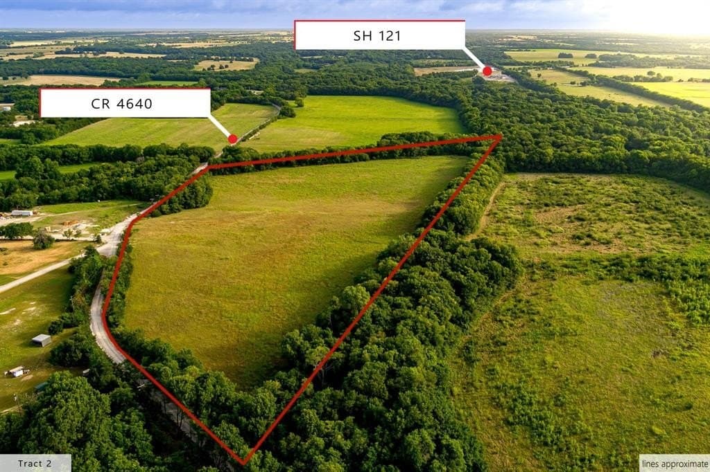 24.32 acres in Fannin County gallery image 4