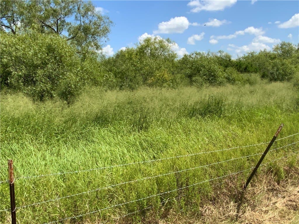 21 acres in San Patricio County gallery image 2