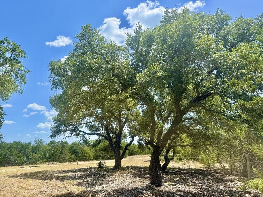 12.31 acres in Gillespie County - photo 11