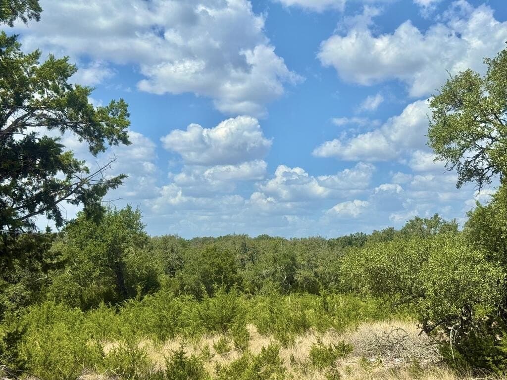 12.31 acres in Gillespie County - photo 5