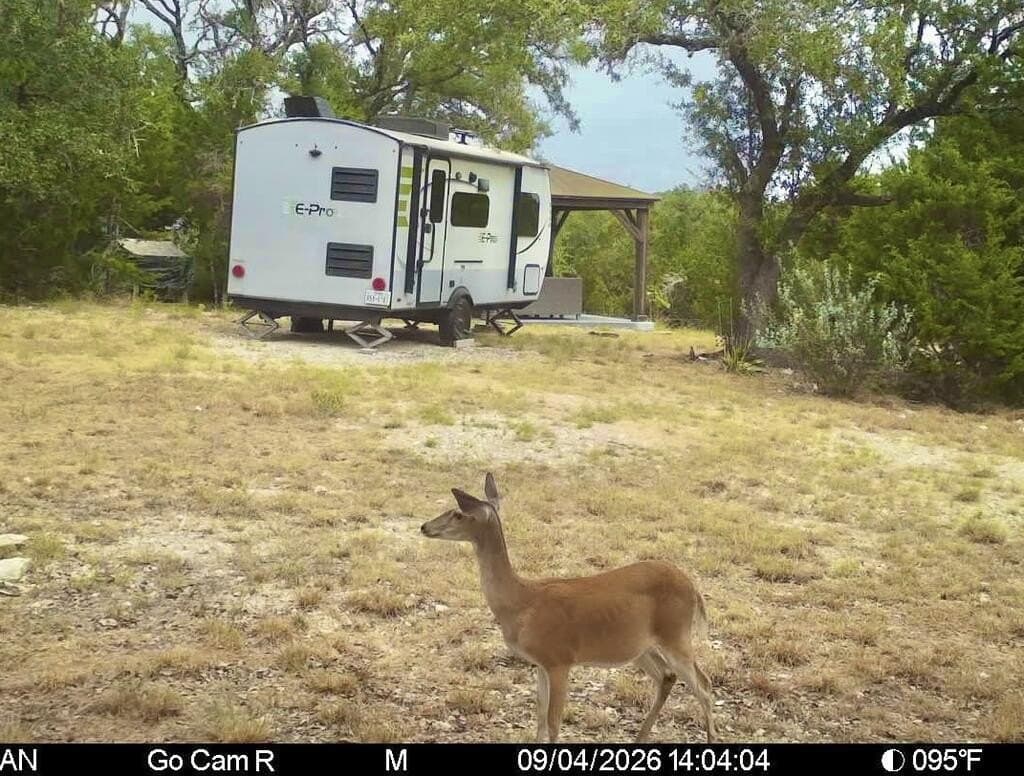 12.31 acres in Gillespie County - photo 9