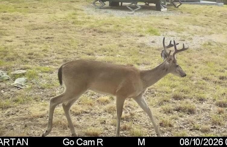 12.31 acres in Gillespie County - photo 8