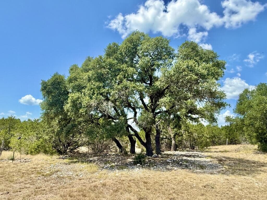 12.31 acres in Gillespie County - photo 4