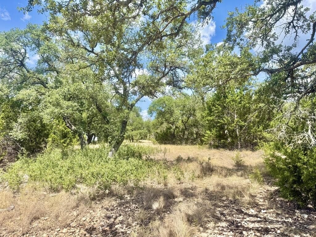 12.31 acres in Gillespie County - photo 12