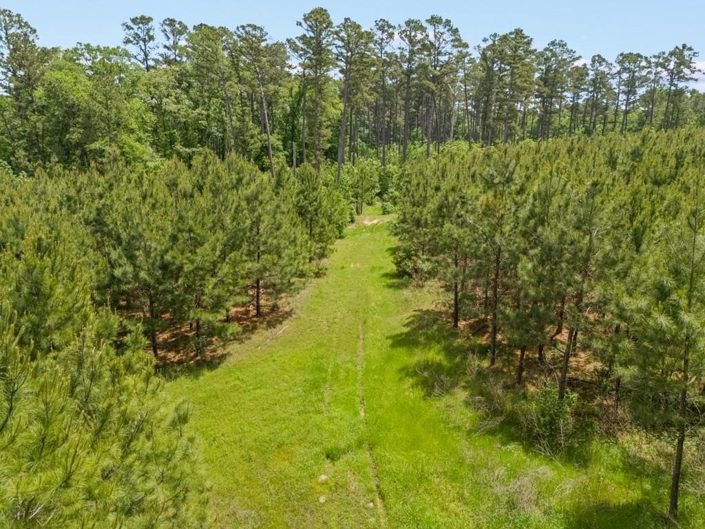 87.45 acres in Harrison County featured view