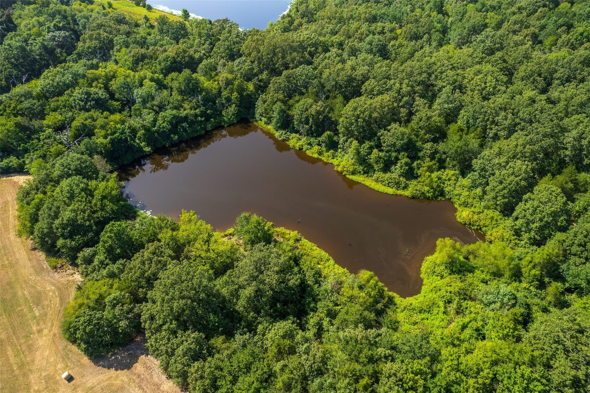 67 acres in Hopkins County - photo 4