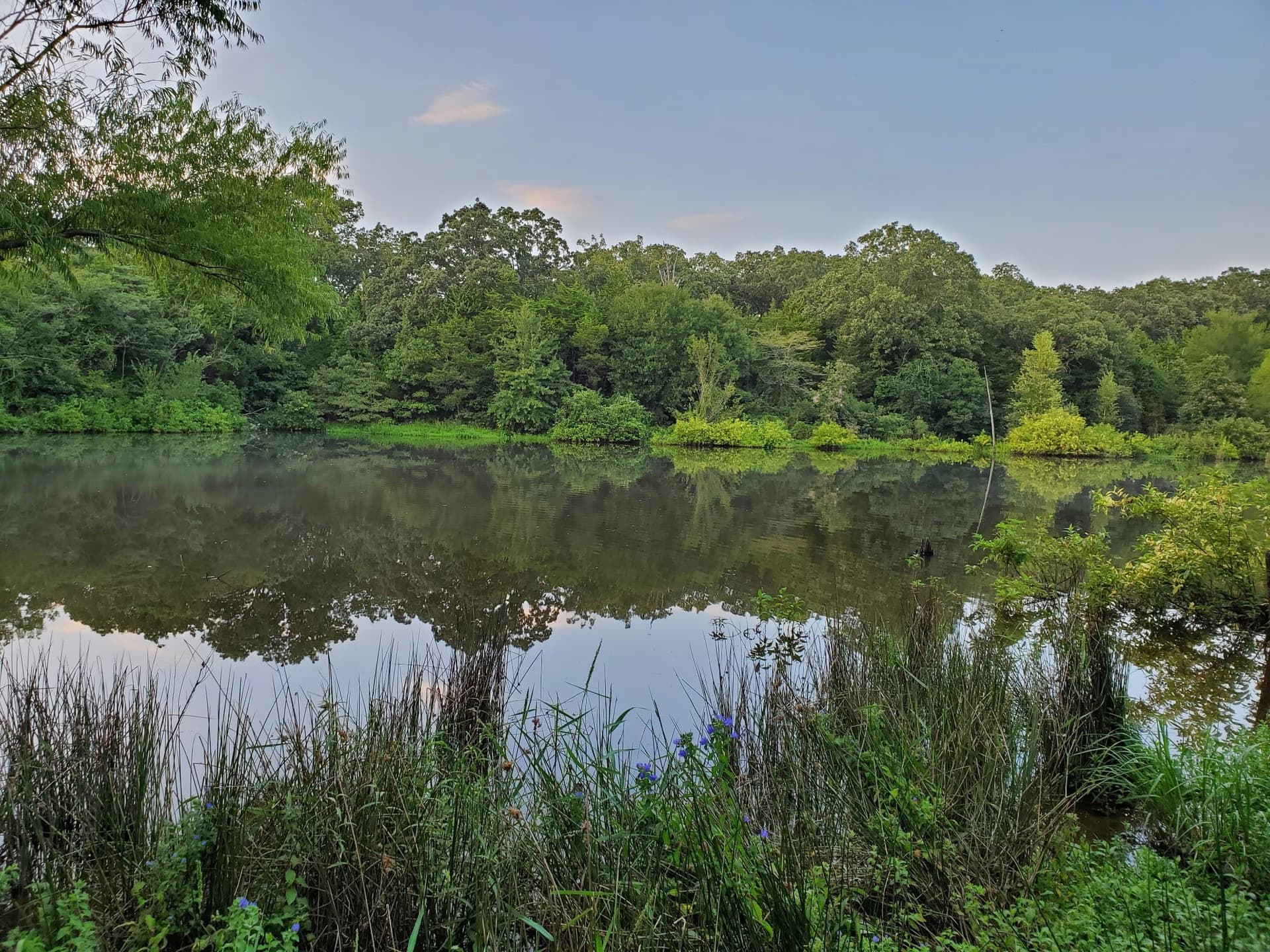 67 acres in Hopkins County - photo 5