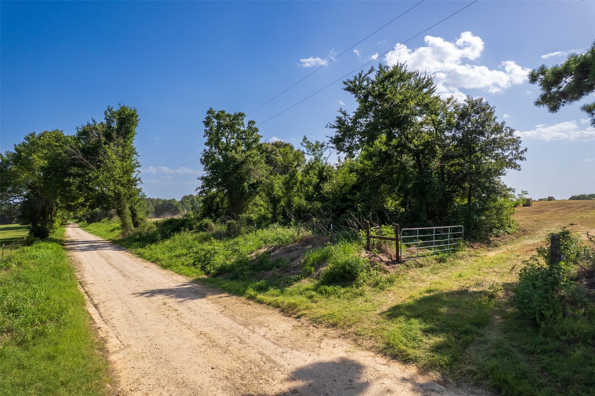 67 acres in Hopkins County - photo 8