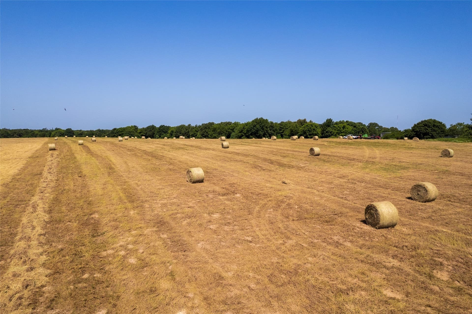 67 acres in Hopkins County - photo 3